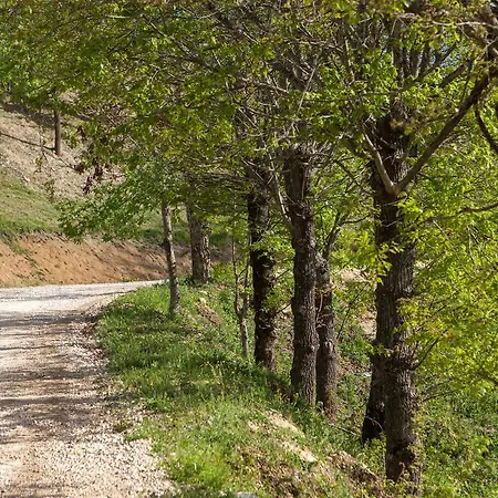 Casale Virginia Landhuis